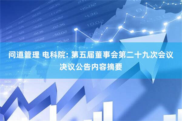 问道管理 电科院: 第五届董事会第二十九次会议决议公告内容摘要