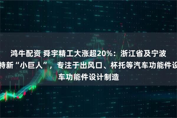 鸿牛配资 舜宇精工大涨超20%：浙江省及宁波市专精特新“小巨人”，专注于出风口、杯托等汽车功能件设计制造