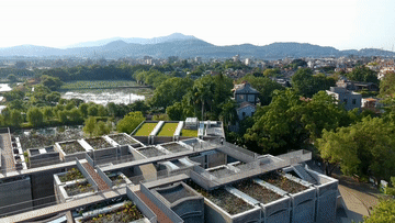 德宏信投 文化中国行·传统村落人文影像志|明清古建×当代艺术, 这个岭南古村凭“混搭”出圈